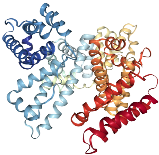 From basics to applications: a comprehensive analysis of protein characterization