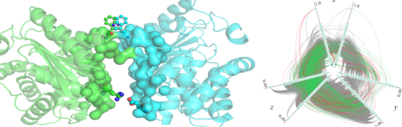 Protein-Protein Interactions